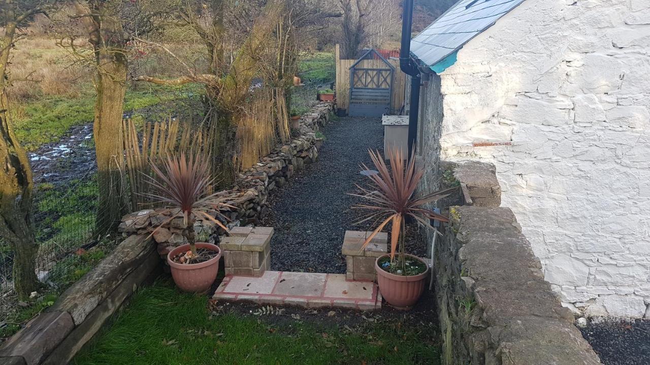 Cosy Cottage On The Causeway Coast And Glens バリーキャッスル エクステリア 写真