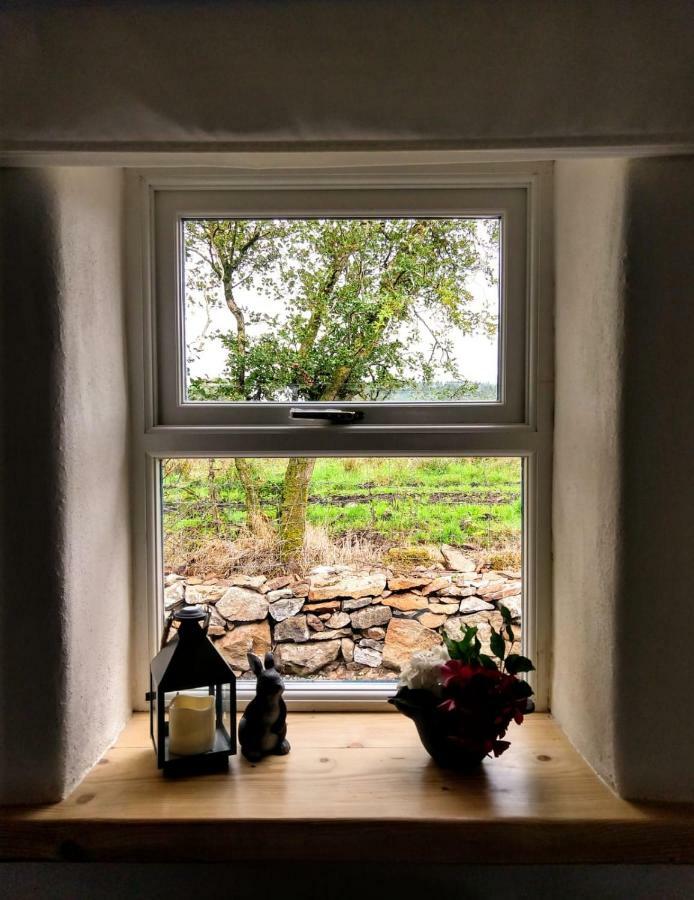 Cosy Cottage On The Causeway Coast And Glens バリーキャッスル エクステリア 写真