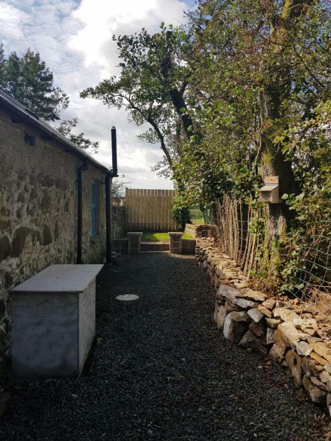 Cosy Cottage On The Causeway Coast And Glens バリーキャッスル エクステリア 写真